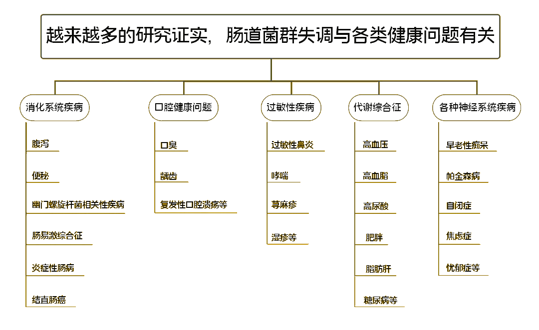 肠道菌群失调与各种健康问题有关