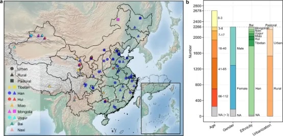 中国人肠道菌群及其与主食类型、种族和城市化的关系